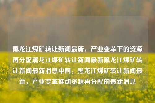 黑龙江煤矿转让新闻最新，产业变革下的资源再分配黑龙江煤矿转让新闻最新黑龙江煤矿转让新闻最新消息中网，黑龙江煤矿转让新闻最新，产业变革推动资源再分配的最新消息，黑龙江煤矿转让新闻最新，产业变革下的资源再分配动态