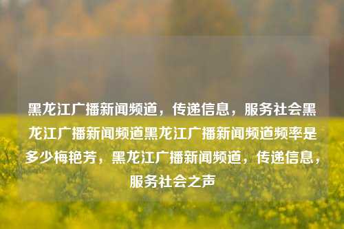 黑龙江广播新闻频道，传递信息，服务社会黑龙江广播新闻频道黑龙江广播新闻频道频率是多少梅艳芳，黑龙江广播新闻频道，传递信息，服务社会之声，黑龙江广播新闻频道，传递信息，服务社会的之声