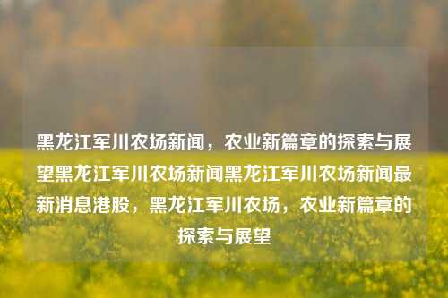 黑龙江军川农场新闻，农业新篇章的探索与展望黑龙江军川农场新闻黑龙江军川农场新闻最新消息港股，黑龙江军川农场，农业新篇章的探索与展望，黑龙江军川农场，农业新篇章的探索与展望新闻报道