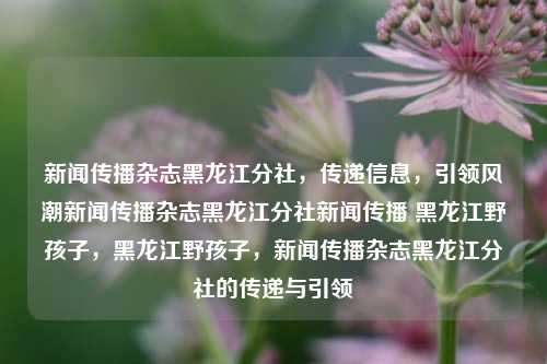 新闻传播杂志黑龙江分社，传递信息，引领风潮新闻传播杂志黑龙江分社新闻传播 黑龙江野孩子，黑龙江野孩子，新闻传播杂志黑龙江分社的传递与引领，黑龙江分社新闻传播杂志，传递信息，引领风潮中的黑龙江野孩子