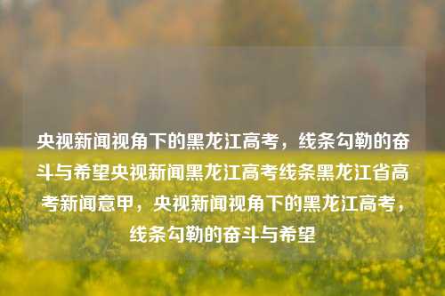 央视新闻视角下的黑龙江高考，线条勾勒的奋斗与希望央视新闻黑龙江高考线条黑龙江省高考新闻意甲，央视新闻视角下的黑龙江高考，线条勾勒的奋斗与希望，央视新闻视角下的黑龙江高考，奋斗与希望的线条勾勒