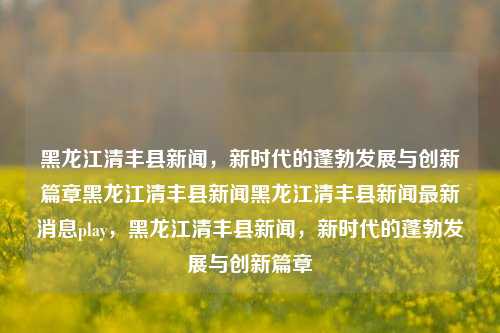 黑龙江清丰县新闻，新时代的蓬勃发展与创新篇章黑龙江清丰县新闻黑龙江清丰县新闻最新消息play，黑龙江清丰县新闻，新时代的蓬勃发展与创新篇章，黑龙江清丰县，新时代的蓬勃发展与创新篇章的新闻报道