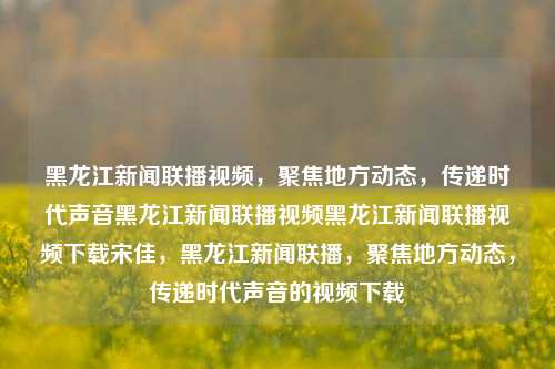 黑龙江新闻联播视频，聚焦地方动态，传递时代声音黑龙江新闻联播视频黑龙江新闻联播视频下载宋佳，黑龙江新闻联播，聚焦地方动态，传递时代声音的视频下载，黑龙江新闻联播，聚焦地方动态，传递时代声音的视频