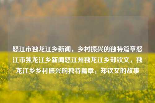 怒江市独龙江乡新闻，乡村振兴的独特篇章怒江市独龙江乡新闻怒江州独龙江乡郑钦文，独龙江乡乡村振兴的独特篇章，郑钦文的故事，独龙江乡乡村振兴的独特篇章，郑钦文的故事