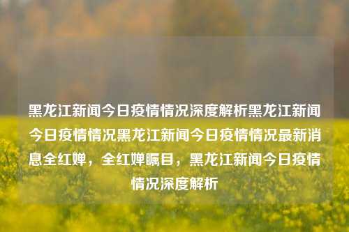 黑龙江新闻今日疫情情况深度解析黑龙江新闻今日疫情情况黑龙江新闻今日疫情情况最新消息全红婵，全红婵瞩目，黑龙江新闻今日疫情情况深度解析，全红婵瞩目下的黑龙江疫情深度解析