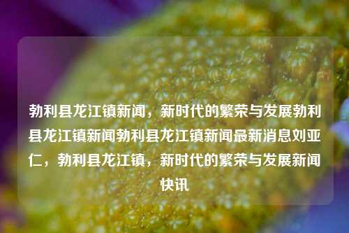 勃利县龙江镇新闻，新时代的繁荣与发展勃利县龙江镇新闻勃利县龙江镇新闻最新消息刘亚仁，勃利县龙江镇，新时代的繁荣与发展新闻快讯，勃利县龙江镇，新时代的繁荣与发展新闻快讯