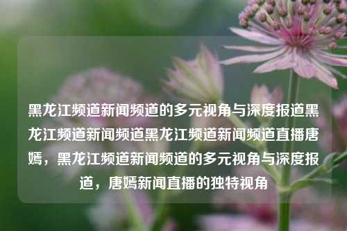 黑龙江频道新闻频道的多元视角与深度报道黑龙江频道新闻频道黑龙江频道新闻频道直播唐嫣，黑龙江频道新闻频道的多元视角与深度报道，唐嫣新闻直播的独特视角，黑龙江频道新闻频道，多元视角下的深度报道与唐嫣新闻直播的独特观察