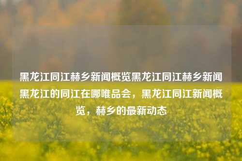 黑龙江同江赫乡新闻概览黑龙江同江赫乡新闻黑龙江的同江在哪唯品会，黑龙江同江新闻概览，赫乡的最新动态，黑龙江同江赫乡新闻概览，同江地理位置与赫乡最新动态