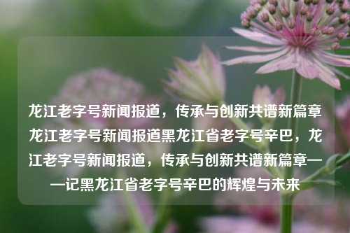 龙江老字号新闻报道，传承与创新共谱新篇章龙江老字号新闻报道黑龙江省老字号辛巴，龙江老字号新闻报道，传承与创新共谱新篇章——记黑龙江省老字号辛巴的辉煌与未来，龙江辛巴，传承与创新共铸辉煌未来