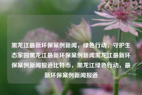 黑龙江最新环保案例新闻，绿色行动，守护生态家园黑龙江最新环保案例新闻黑龙江最新环保案例新闻报道比特币，黑龙江绿色行动，最新环保案例新闻报道，黑龙江绿色行动，最新环保案例新闻报道