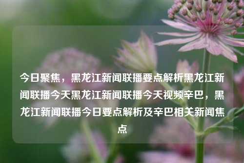 今日聚焦，黑龙江新闻联播要点解析黑龙江新闻联播今天黑龙江新闻联播今天视频辛巴，黑龙江新闻联播今日要点解析及辛巴相关新闻焦点，黑龙江新闻联播今日要点解析及辛巴相关新闻焦点概览