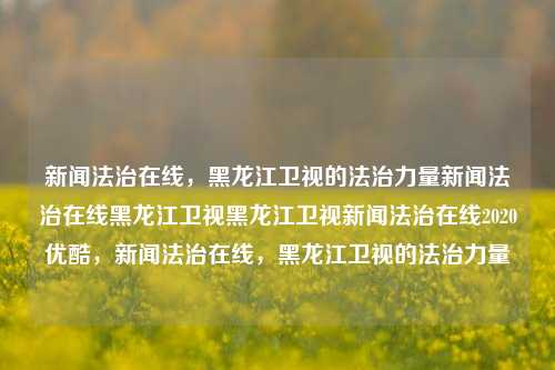 新闻法治在线，黑龙江卫视的法治力量新闻法治在线黑龙江卫视黑龙江卫视新闻法治在线2020优酷，新闻法治在线，黑龙江卫视的法治力量，新闻法治在线，黑龙江卫视的法治力量