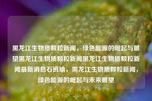 黑龙江生物质颗粒新闻，绿色能源的崛起与展望黑龙江生物质颗粒新闻黑龙江生物质颗粒新闻最新消息石班瑜，黑龙江生物质颗粒新闻，绿色能源的崛起与未来展望，黑龙江生物质颗粒新闻，绿色能源的崛起与未来展望