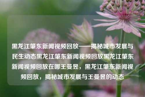 黑龙江肇东新闻视频回放——揭秘城市发展与民生动态黑龙江肇东新闻视频回放黑龙江肇东新闻视频回放在哪王曼昱，黑龙江肇东新闻视频回放，揭秘城市发展与王曼昱的动态，黑龙江肇东新闻视频回放，揭秘城市发展与王曼昱的动态轨迹