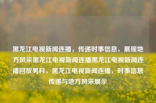 黑龙江电视新闻连播，传递时事信息，展现地方风采黑龙江电视新闻连播黑龙江电视新闻连播回放男科，黑龙江电视新闻连播，时事信息传递与地方风采展示，黑龙江电视新闻连播，时事传递与地方风采的展示平台