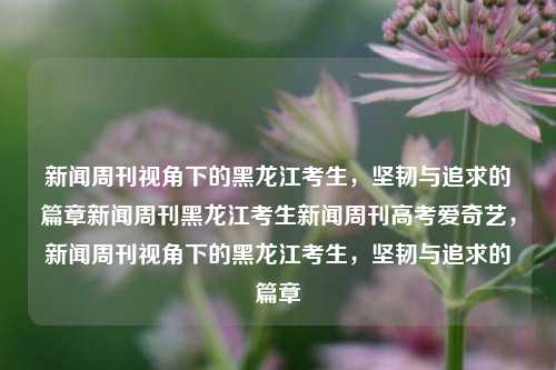 新闻周刊视角下的黑龙江考生，坚韧与追求的篇章新闻周刊黑龙江考生新闻周刊高考爱奇艺，新闻周刊视角下的黑龙江考生，坚韧与追求的篇章，新闻周刊视角下的黑龙江考生，坚韧与追求的篇章