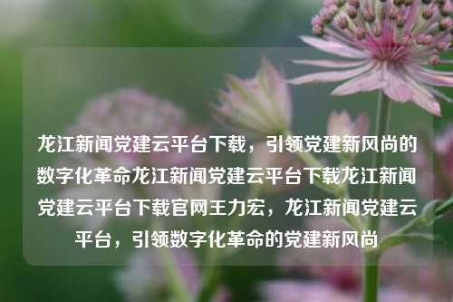 龙江新闻党建云平台下载，引领党建新风尚的数字化革命龙江新闻党建云平台下载龙江新闻党建云平台下载官网王力宏，龙江新闻党建云平台，引领数字化革命的党建新风尚，龙江新闻党建云平台，引领数字化革命的党建新风尚