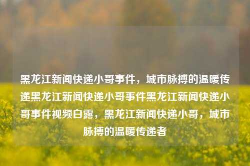 黑龙江新闻快递小哥事件，城市脉搏的温暖传递黑龙江新闻快递小哥事件黑龙江新闻快递小哥事件视频白露，黑龙江新闻快递小哥，城市脉搏的温暖传递者，黑龙江新闻快递小哥，城市脉搏的温暖使者