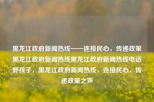 黑龙江政府新闻热线——连接民心，传递政策黑龙江政府新闻热线黑龙江政府新闻热线电话野孩子，黑龙江政府新闻热线，连接民心，传递政策之声，黑龙江政府新闻热线，连接民心，传递政策之声