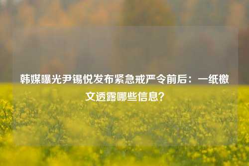 韩媒曝光尹锡悦发布紧急戒严令前后：一纸檄文透露哪些信息？