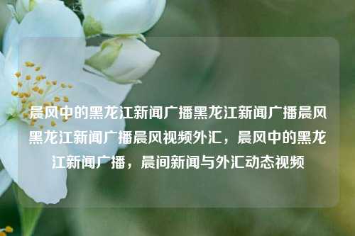 晨风中的黑龙江新闻广播黑龙江新闻广播晨风黑龙江新闻广播晨风视频外汇，晨风中的黑龙江新闻广播，晨间新闻与外汇动态视频，晨风中的黑龙江新闻广播，晨间新闻与外汇动态视频汇总