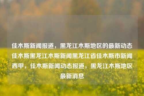 佳木斯新闻报道，黑龙江木斯地区的最新动态佳木斯黑龙江木斯新闻黑龙江省佳木斯市新闻西甲，佳木斯新闻动态报道，黑龙江木斯地区最新消息，佳木斯新闻动态，黑龙江木斯地区最新消息报道