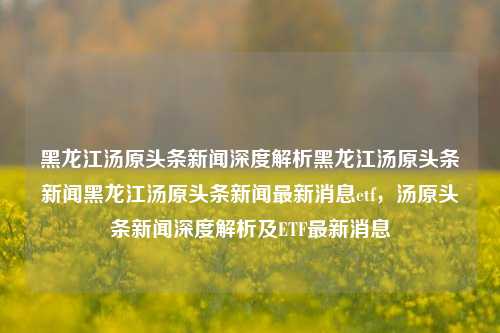 黑龙江汤原头条新闻深度解析黑龙江汤原头条新闻黑龙江汤原头条新闻最新消息etf，汤原头条新闻深度解析及ETF最新消息，汤原头条新闻深度解析及ETF最新消息动态