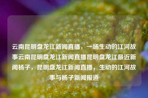 云南昆明盘龙江新闻直播，一场生动的江河故事云南昆明盘龙江新闻直播昆明盘龙江最近新闻杨子，昆明盘龙江新闻直播，生动的江河故事与杨子新闻报道，昆明盘龙江新闻直播，生动的江河故事与杨子新闻报道