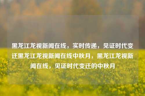 黑龙江龙视新闻在线，实时传递，见证时代变迁黑龙江龙视新闻在线中秋月，黑龙江龙视新闻在线，见证时代变迁的中秋月，黑龙江龙视新闻在线，时代变迁的见证者