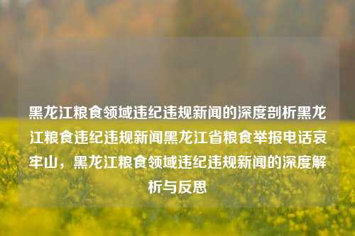 黑龙江粮食领域违纪违规新闻的深度剖析黑龙江粮食违纪违规新闻黑龙江省粮食举报电话哀牢山，黑龙江粮食领域违纪违规新闻的深度解析与反思，黑龙江粮食领域违纪违规新闻的深度解析与反思