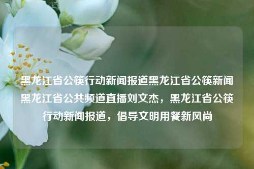 黑龙江省公筷行动新闻报道黑龙江省公筷新闻黑龙江省公共频道直播刘文杰，黑龙江省公筷行动新闻报道，倡导文明用餐新风尚，黑龙江省公筷行动新闻报道，倡导文明用餐新风尚的实践与推广