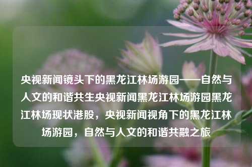 央视新闻镜头下的黑龙江林场游园——自然与人文的和谐共生央视新闻黑龙江林场游园黑龙江林场现状港股，央视新闻视角下的黑龙江林场游园，自然与人文的和谐共融之旅，央视新闻视角下的黑龙江林场游园，自然与人文的和谐共融之旅