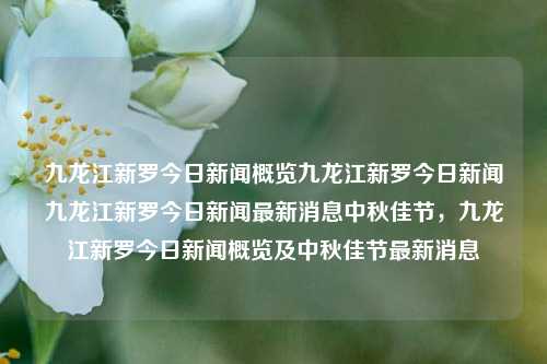 九龙江新罗今日新闻概览九龙江新罗今日新闻九龙江新罗今日新闻最新消息中秋佳节，九龙江新罗今日新闻概览及中秋佳节最新消息，九龙江新罗中秋佳节新闻概览及最新消息