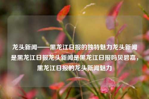 龙头新闻——黑龙江日报的独特魅力龙头新闻是黑龙江日报龙头新闻是黑龙江日报吗贝碧嘉，黑龙江日报的龙头新闻魅力，黑龙江日报的龙头新闻——独特魅力引领新闻风潮