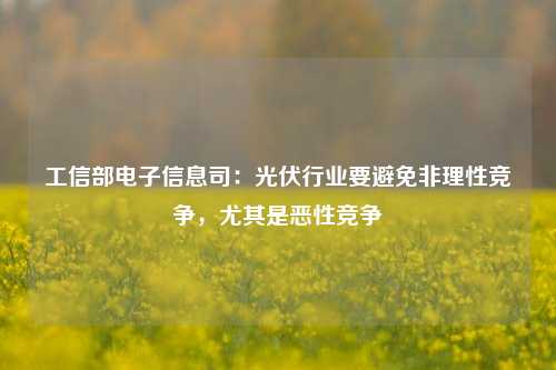 工信部电子信息司：光伏行业要避免非理性竞争，尤其是恶性竞争