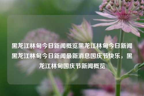 黑龙江林甸今日新闻概览黑龙江林甸今日新闻黑龙江林甸今日新闻最新消息国庆节快乐，黑龙江林甸国庆节新闻概览，黑龙江林甸国庆节新闻概览及今日最新消息