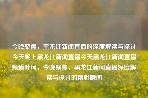 今晚聚焦，黑龙江新闻直播的深度解读与探讨今天晚上黑龙江新闻直播今天黑龙江新闻直播频道叶珂，今晚聚焦，黑龙江新闻直播深度解读与探讨的精彩瞬间，今晚聚焦，黑龙江新闻直播深度解读与探讨的精彩瞬间