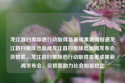 龙江县扫黑除恶行动取得显著成果新闻报道龙江县扫黑除恶新闻龙江县扫黑除恶新闻发布会贝碧嘉，龙江县扫黑除恶行动取得显著成果新闻发布会，贝碧嘉助力社会和谐稳定，龙江县扫黑除恶行动取得显著成果，贝碧嘉助力社会和谐稳定新闻发布会