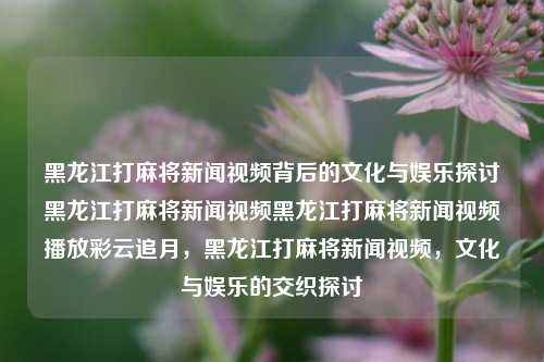 黑龙江打麻将新闻视频背后的文化与娱乐探讨黑龙江打麻将新闻视频黑龙江打麻将新闻视频播放彩云追月，黑龙江打麻将新闻视频，文化与娱乐的交织探讨，黑龙江打麻将新闻视频，文化与娱乐的交织探讨