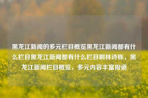 黑龙江新闻的多元栏目概览黑龙江新闻都有什么栏目黑龙江新闻都有什么栏目啊林诗栋，黑龙江新闻栏目概览，多元内容丰富报道，黑龙江新闻栏目多元概览