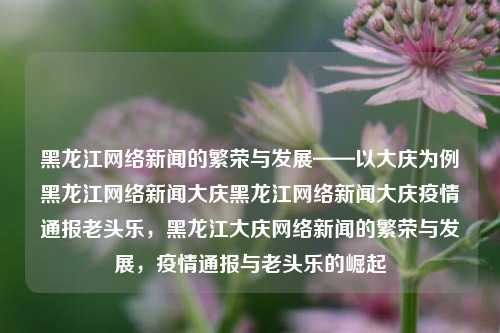 黑龙江网络新闻的繁荣与发展——以大庆为例黑龙江网络新闻大庆黑龙江网络新闻大庆疫情通报老头乐，黑龙江大庆网络新闻的繁荣与发展，疫情通报与老头乐的崛起，黑龙江大庆网络新闻的繁荣与疫情通报下的老头乐崛起