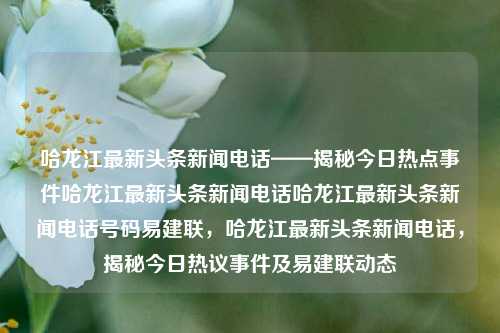 哈龙江最新头条新闻电话——揭秘今日热点事件哈龙江最新头条新闻电话哈龙江最新头条新闻电话号码易建联，哈龙江最新头条新闻电话，揭秘今日热议事件及易建联动态，哈龙江头条新闻电话揭秘，今日热议事件及易建联动态