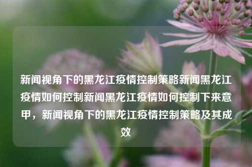 新闻视角下的黑龙江疫情控制策略新闻黑龙江疫情如何控制新闻黑龙江疫情如何控制下来意甲，新闻视角下的黑龙江疫情控制策略及其成效，新闻视角下的黑龙江疫情控制策略及其成效