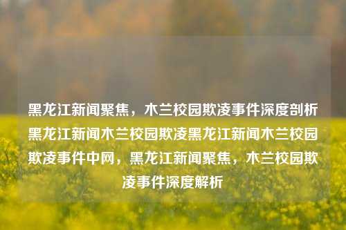 黑龙江新闻聚焦，木兰校园欺凌事件深度剖析黑龙江新闻木兰校园欺凌黑龙江新闻木兰校园欺凌事件中网，黑龙江新闻聚焦，木兰校园欺凌事件深度解析，黑龙江新闻，木兰校园欺凌事件深度解析与关注