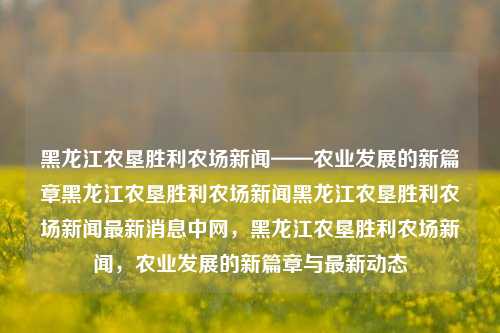 黑龙江农垦胜利农场新闻——农业发展的新篇章黑龙江农垦胜利农场新闻黑龙江农垦胜利农场新闻最新消息中网，黑龙江农垦胜利农场新闻，农业发展的新篇章与最新动态，黑龙江农垦胜利农场新闻，农业发展的新篇章与最新动态