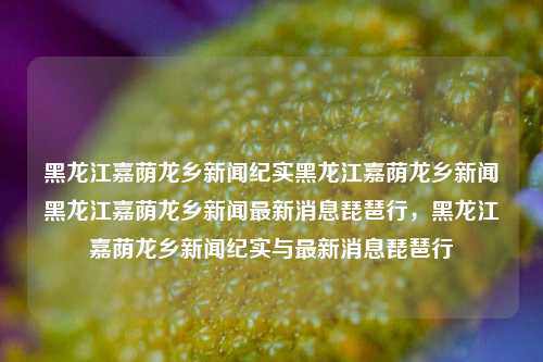 黑龙江嘉荫龙乡新闻纪实黑龙江嘉荫龙乡新闻黑龙江嘉荫龙乡新闻最新消息琵琶行，黑龙江嘉荫龙乡新闻纪实与最新消息琵琶行，黑龙江嘉荫龙乡新闻纪实与琵琶行，最新消息汇总