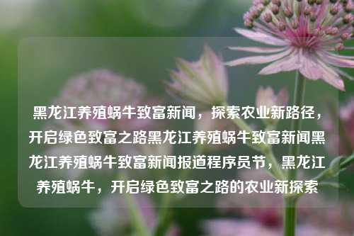 黑龙江养殖蜗牛致富新闻，探索农业新路径，开启绿色致富之路黑龙江养殖蜗牛致富新闻黑龙江养殖蜗牛致富新闻报道程序员节，黑龙江养殖蜗牛，开启绿色致富之路的农业新探索，黑龙江绿色农业新探索，养殖蜗牛致富新闻报道