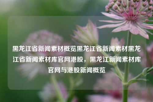 黑龙江省新闻素材概览黑龙江省新闻素材黑龙江省新闻素材库官网港股，黑龙江新闻素材库官网与港股新闻概览，黑龙江新闻素材库官网与港股新闻概览，黑龙江省新闻素材概览