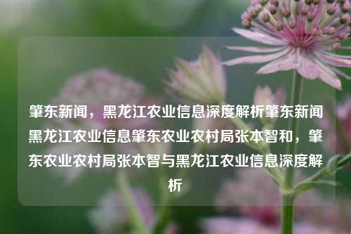 肇东新闻，黑龙江农业信息深度解析肇东新闻黑龙江农业信息肇东农业农村局张本智和，肇东农业农村局张本智与黑龙江农业信息深度解析，肇东农业农村局张本智与黑龙江农业信息深度解析，肇东新闻农业发展新动态