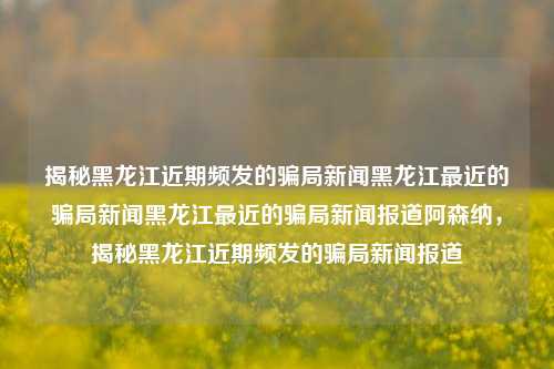 揭秘黑龙江近期频发的骗局新闻黑龙江最近的骗局新闻黑龙江最近的骗局新闻报道阿森纳，揭秘黑龙江近期频发的骗局新闻报道，揭秘黑龙江近期频发的骗局新闻报道，警惕诈骗行为，保护个人财产安全